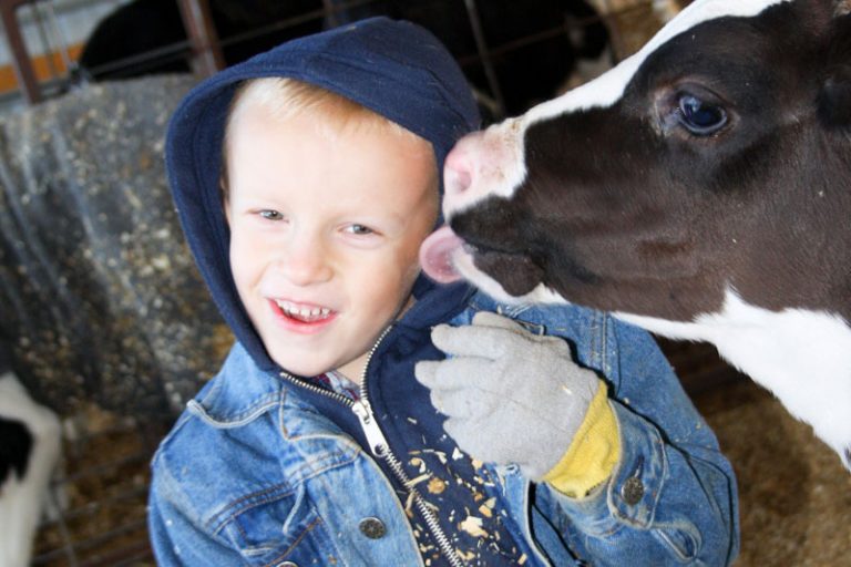 Our Farm Families - Ellsworth Cooperative Creamery